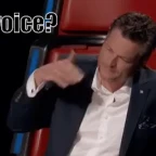 experemental deep voice voice changer