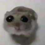 Alice but Real voice changer