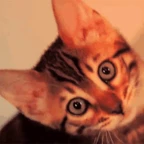 hi omg voice changer