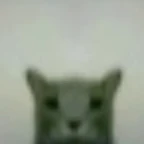 evil sonk voice changer