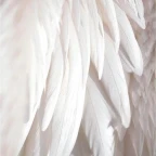 GLAMROCK BONNIE voice changer