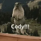 CODY voice changer