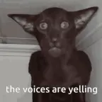 Cursed Voice voice changer