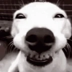 FunnyFunny voice changer