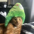 Femboy voice changer