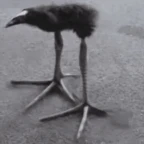 weaeuw voice changer