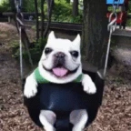 PIBBLE 2 voice changer