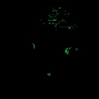 grollusiam voice changer