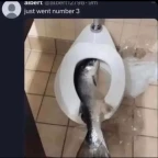 Transendense V2 voice changer