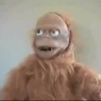 monke gghg voice changer