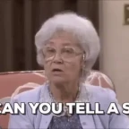 story teller voice changer