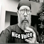 RP  Stimme voice changer