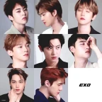exo voice changer