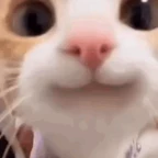 smiler voice changer