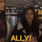 ALLY voice changer