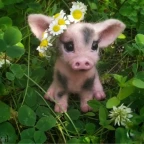 Eterna voice changer