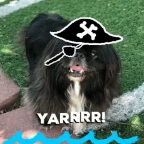 Yarr voice changer