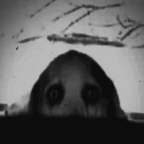 analog horror type mic voice changer