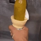 pickle voice changer