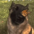 Ragebait voice changer