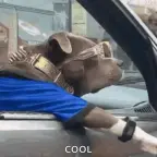 CoolKid voice changer