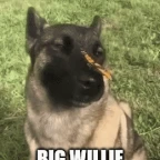 Willie voice changer