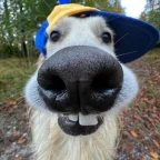 best egirl voice changer