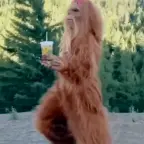 Squatch voice changer