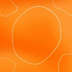 integrity voice changer