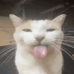 Virtual Companion voice changer