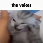 voice in my head voice changer