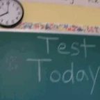 THE TEST voice changer