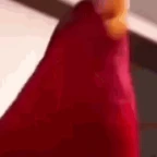birb voice changer