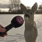 Interviewer voice changer