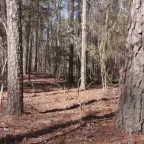 Kryptid voice changer