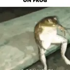 FROG voice changer