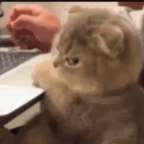 Disturbed voice changer