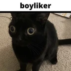 AutoTune voice changer