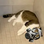 gas mask voice changer