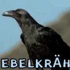 CROWS VOICE voice changer