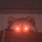 Peak singing mic voice changer