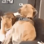 spookster voice changer