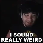 Meine Stimme voice changer