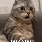 si las personas fueran personas voice changer