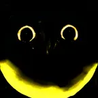 i have no idea voice changer