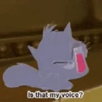 My voice voice changer