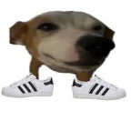 Loud... voice changer