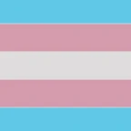 Full trans voice changer