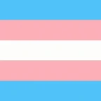 Just A Guy voice changer