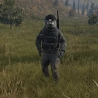 DAYZ RADIO voice changer